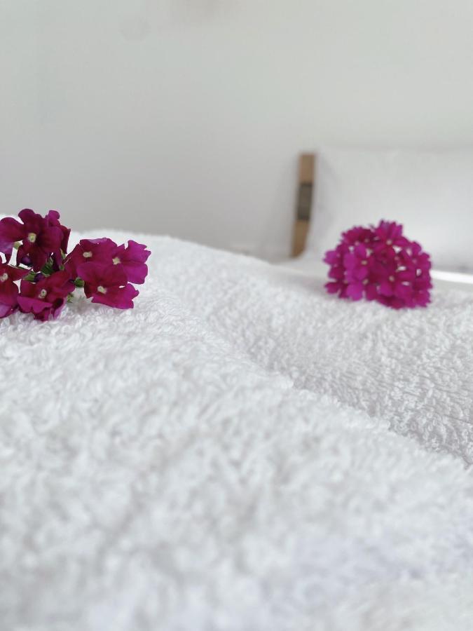 Hotel Lori Gardenia